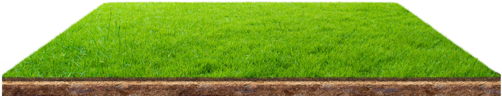 Shreemat City Centre | Commercial Property in Sirsa Haryana